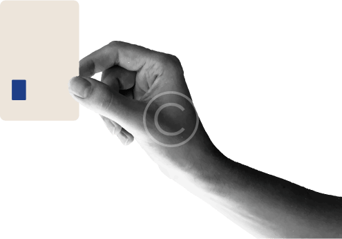Elyad-contact-site-internet-guyane-application-website-refonte-seo-referencement-martinique-mobile-guadeloupe-antilles