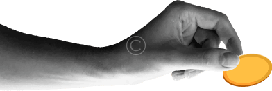 Elyad-contact-site-internet-guyane-application-website-refonte-seo-referencement-martinique-mobile-guadeloupe-antilles