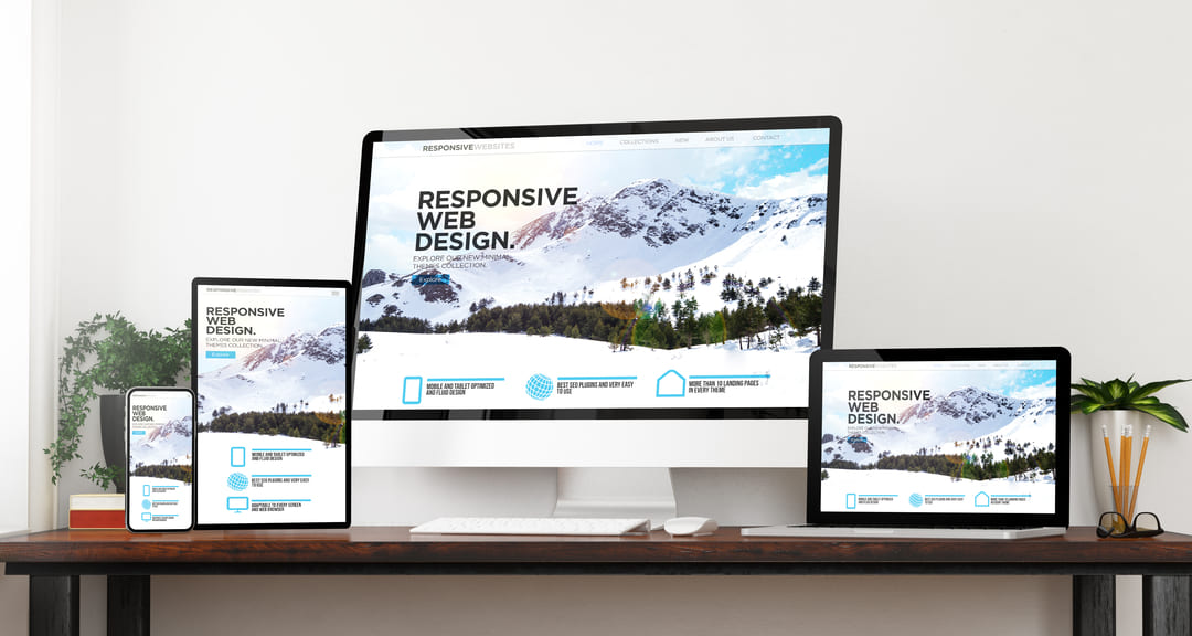 Elyad-contact-site-internet-guyane-application-website-refonte-seo-referencement-martinique-mobile-guadeloupe-antilles